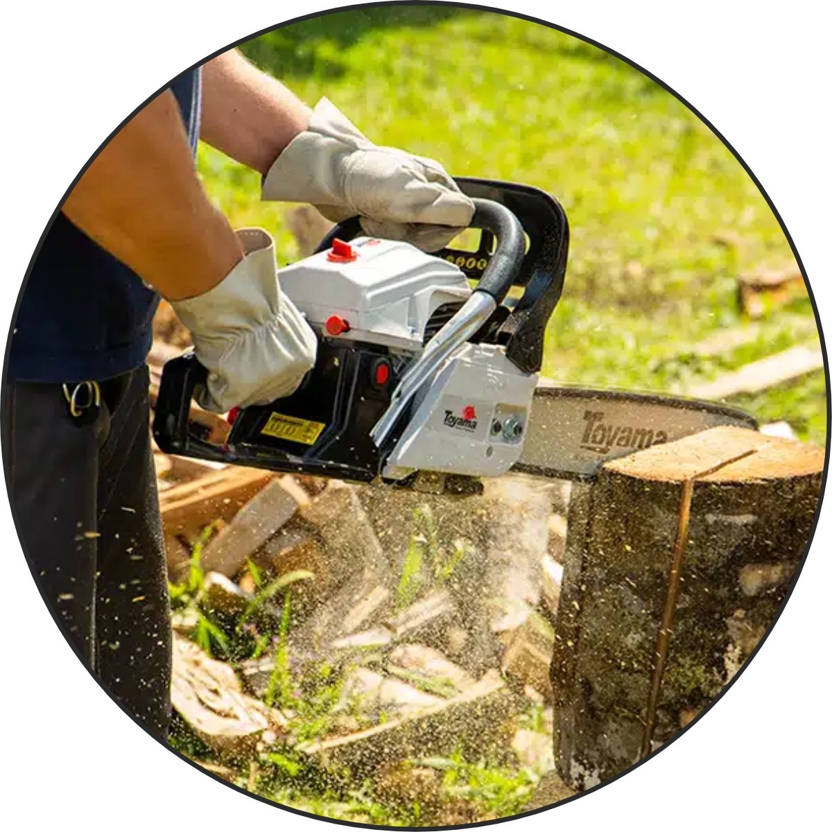 小物 Moto Tanabe Motosserra TCS53X-20 a Gasolina 50.2cc - TOYAMA-401-004